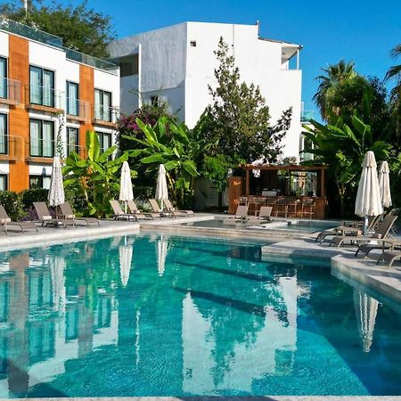 Bodrum Astrid Hotel Gümüşlük Zewnętrze zdjęcie